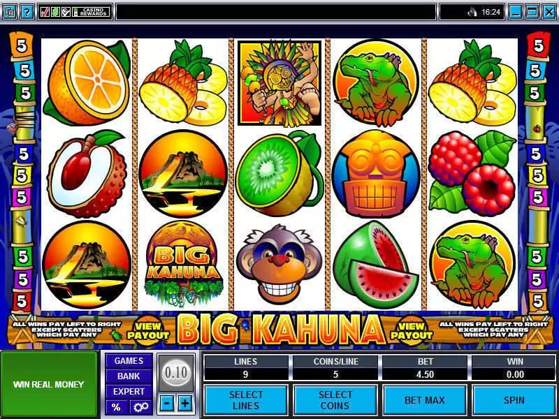 Big Kahuna Slots Microgaming Second Screen Game
