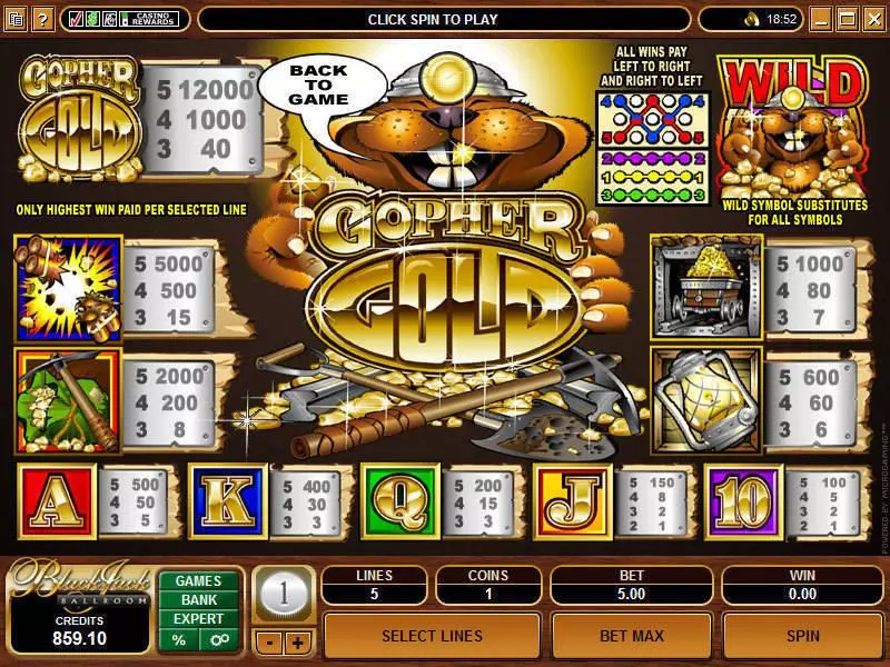 Gopher Gold Slots Microgaming 