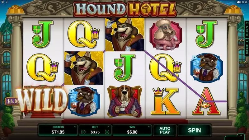 Hound Hotel Slots Microgaming Free Spins