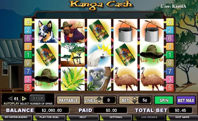 Kanga Cash Slots CryptoLogic Free Spins