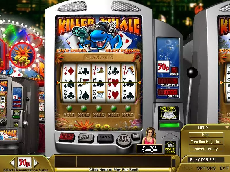 Killer Whale Poker Slots Boss Media 