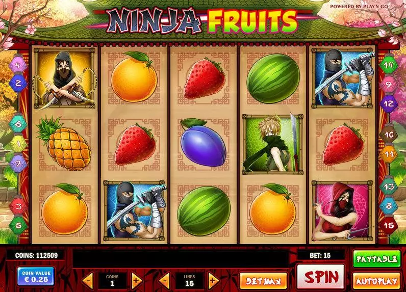Ninja Fruits Slots Play'n GO On Reel Game