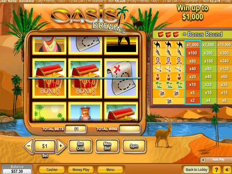 Oasis Dreams Slots NeoGames Second Screen Game