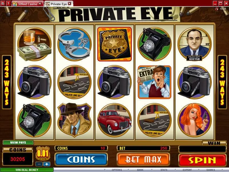 Private Eye Slots Microgaming Free Spins