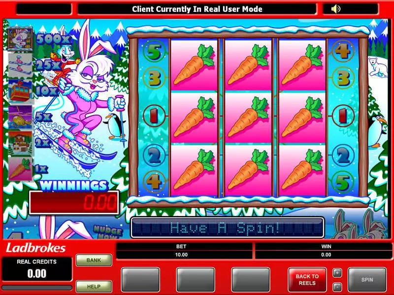 Ski Bunny Slots Microgaming Second Screen Game