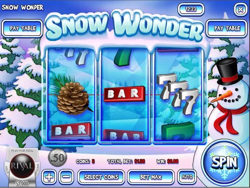 Snow Wonder Slots Rival 
