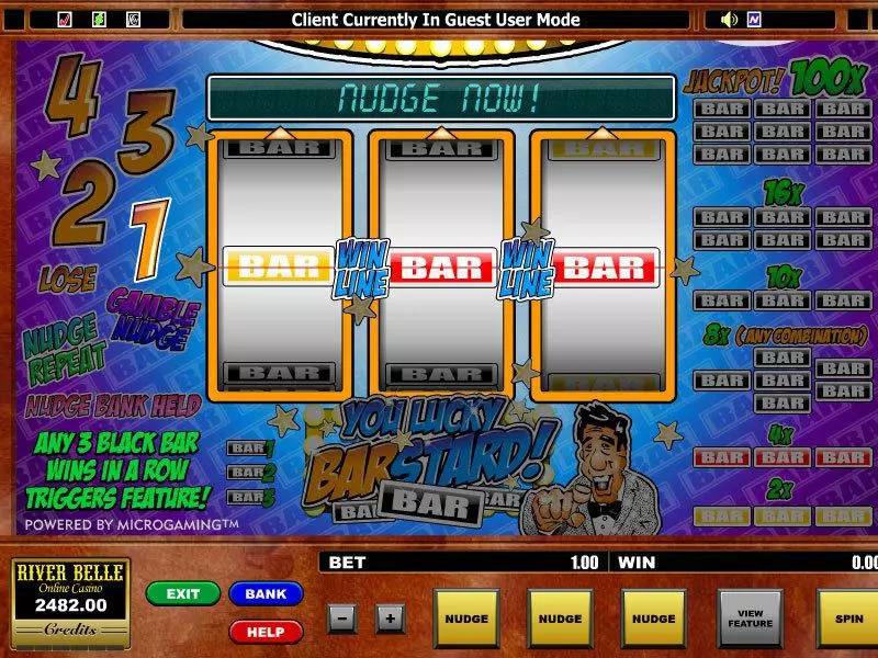 You Lucky Barstard Slots Microgaming Second Screen Game